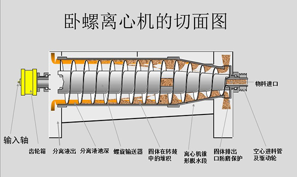 離心脫水機結(jié)構(gòu)圖(圖1)